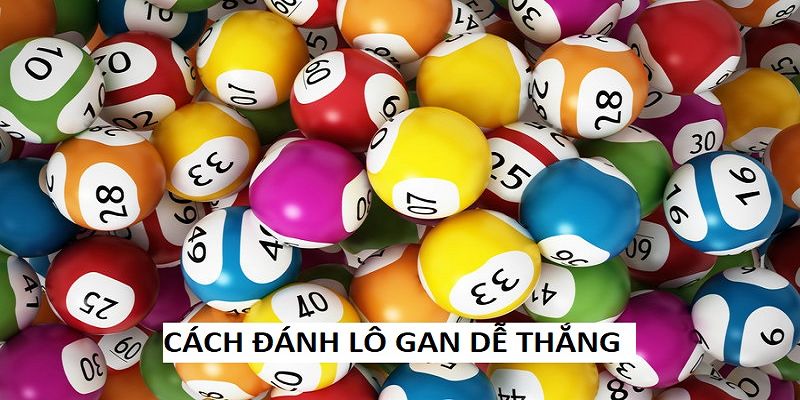 Phương pháp bắt lô gan Bến Tre hiệu quả