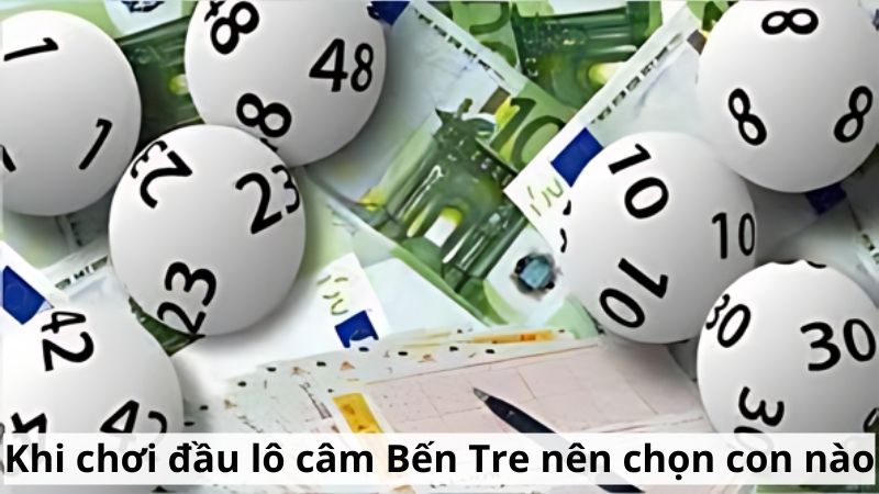 Khi chơi đầu lô câm Bến Tre nên chọn con nào